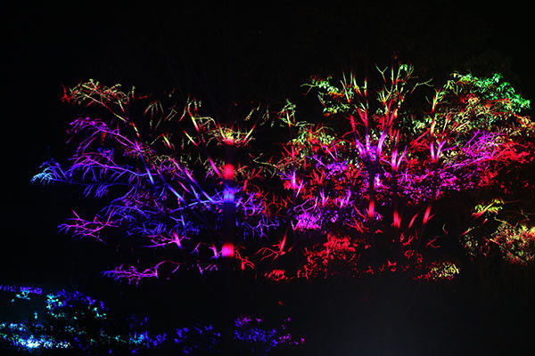 Luce laser da 30W