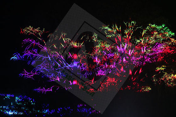 Luce laser da 40W-80W con energia di impulso di 50KHz e uscita di fascio superiore M2 1.3