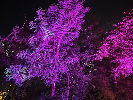 Opzioni di montaggio per concerti con supporto appesi per illuminazione laser da -20°C a 40°C e oltre