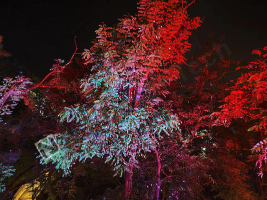 10°C-35°C Incredible Laser Light Show Perfetto funzionamento stabile per grandi eventi
