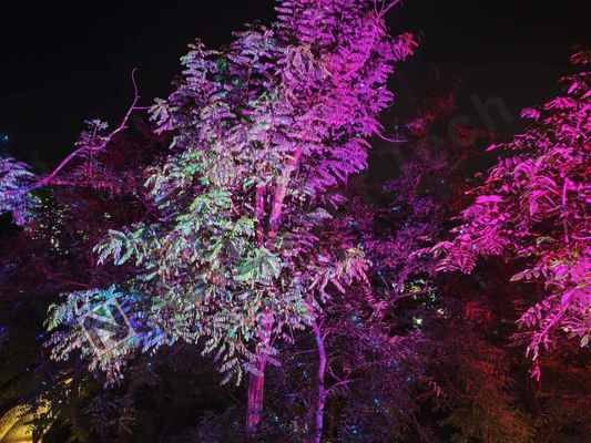 10°C-35°C Temperatura Brillante Laser Show con illuminazione RGB