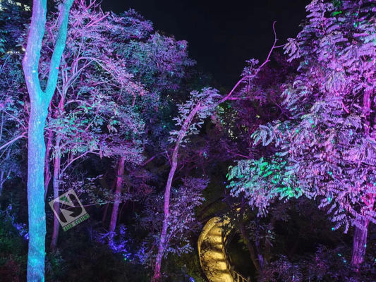 1000mW Laser Show con modulo di scanner XY ad alta velocità e sistema di raffreddamento