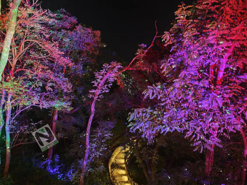 10°C-35°C Incredible Laser Light Show Perfetto funzionamento stabile per grandi eventi