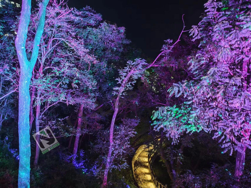 1000mW Laser Show con modulo di scanner XY ad alta velocità e sistema di raffreddamento